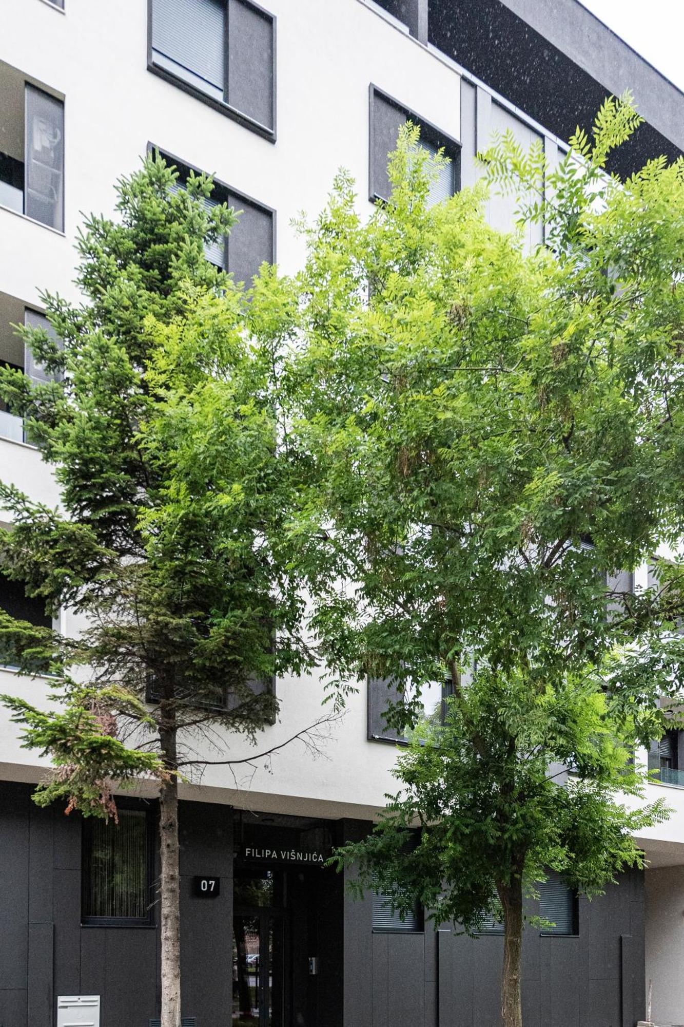 Lägenhet Vertigo One Bedroom - Free Private Parking-fast Wi-fi Novi Sad